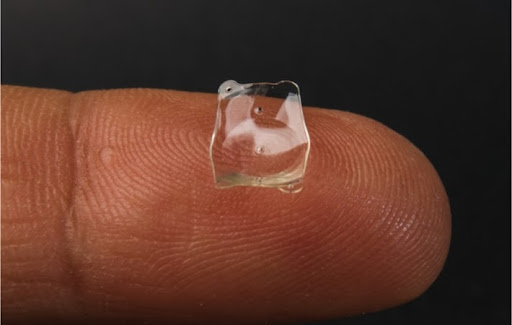 An extended finger holding up an Implantabe Collamer Lens on the fingerprint in order to provide scale.